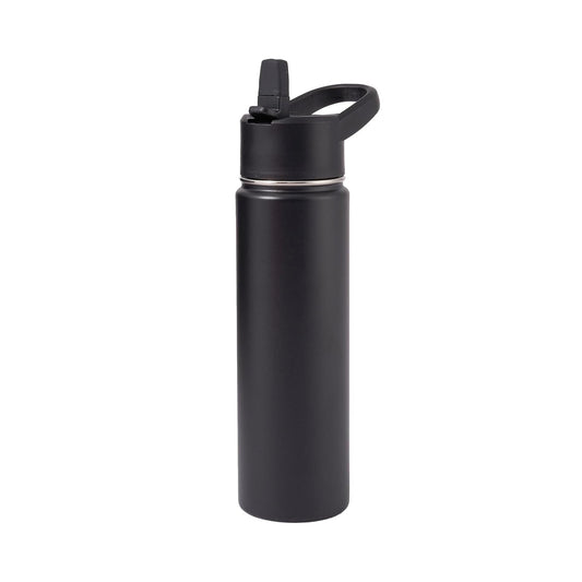 Mysterybets Metal Water Container with Straw and Broad Opening Cap, Stainless Steel